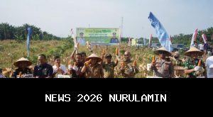 Polsek Lembak Muara Enim Bersama Warga Panen Jagung