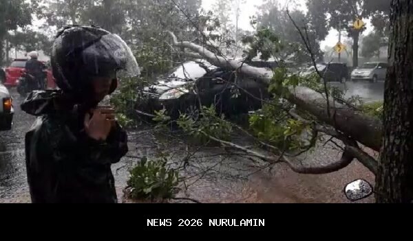 Hujan dan Angin Kencang Tumbangkan 12 Pohon di Bogor
