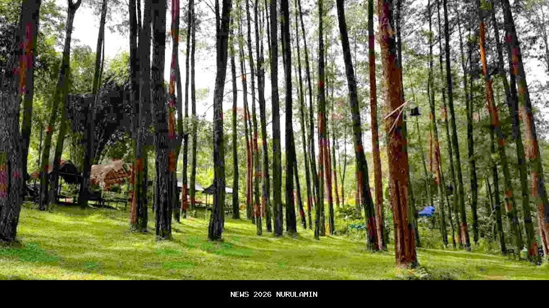 8 Destinasi Akhir Pekan di Madiun 2025, Pas untuk Liburan Bersama Kekasih