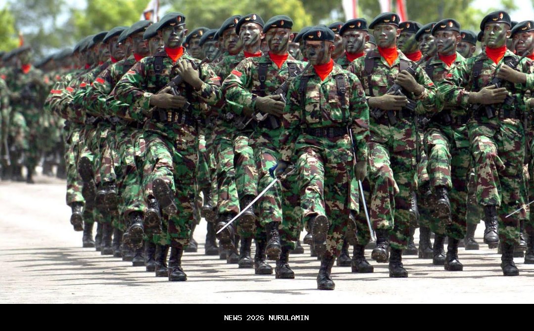 TNI Amankan 740 Pohon Ganja di Pegunungan Bintang Papua