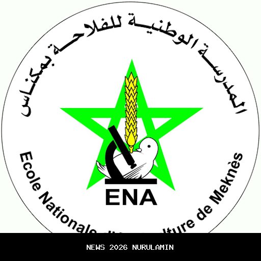 Enam anggota geng motor ditangkap usai curi dan jual motor di Surabaya