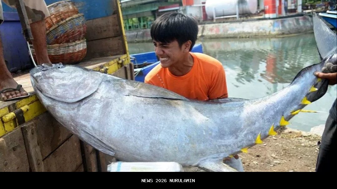 KKP Dorong Nelayan Cirebon Ikuti Standar Internasional Ikan