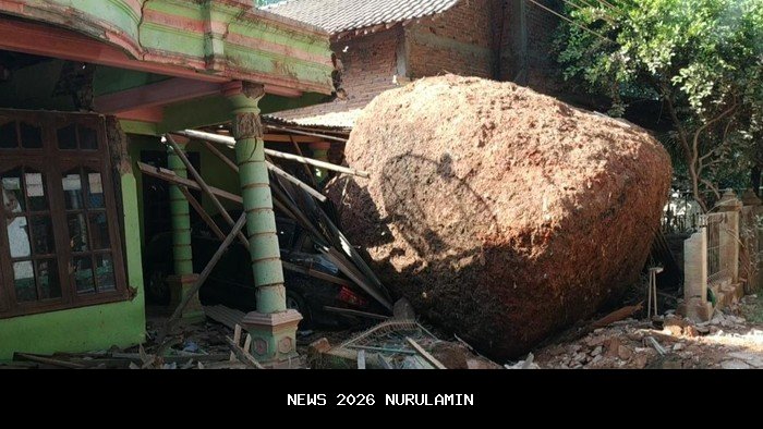Tiga Batu Raksasa Jatuh dari Tebing, Hancurkan Greenhouse Warga