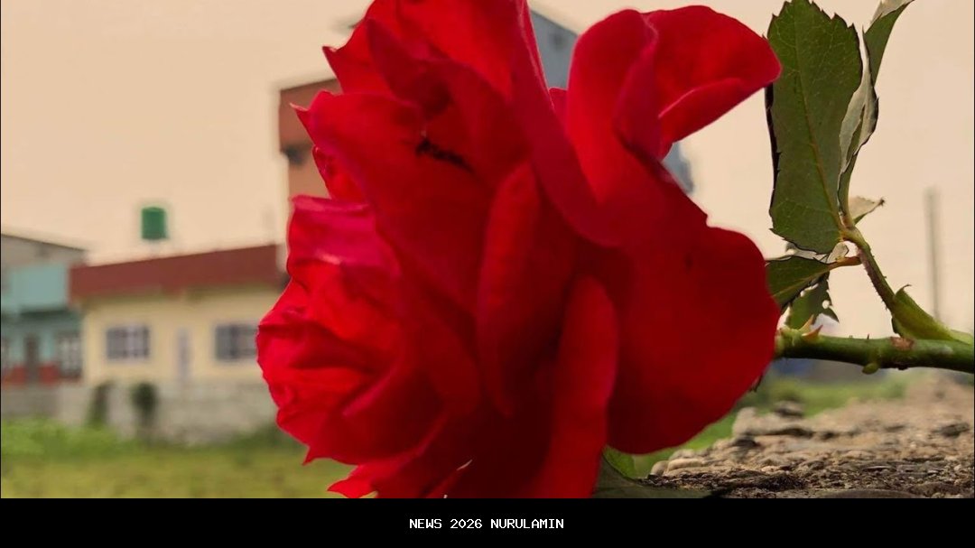 Rose BLACKPINK Ciptakan Sejarah, Masuk Nominasi Utama Grammy 2026 Bersama Bruno Mars