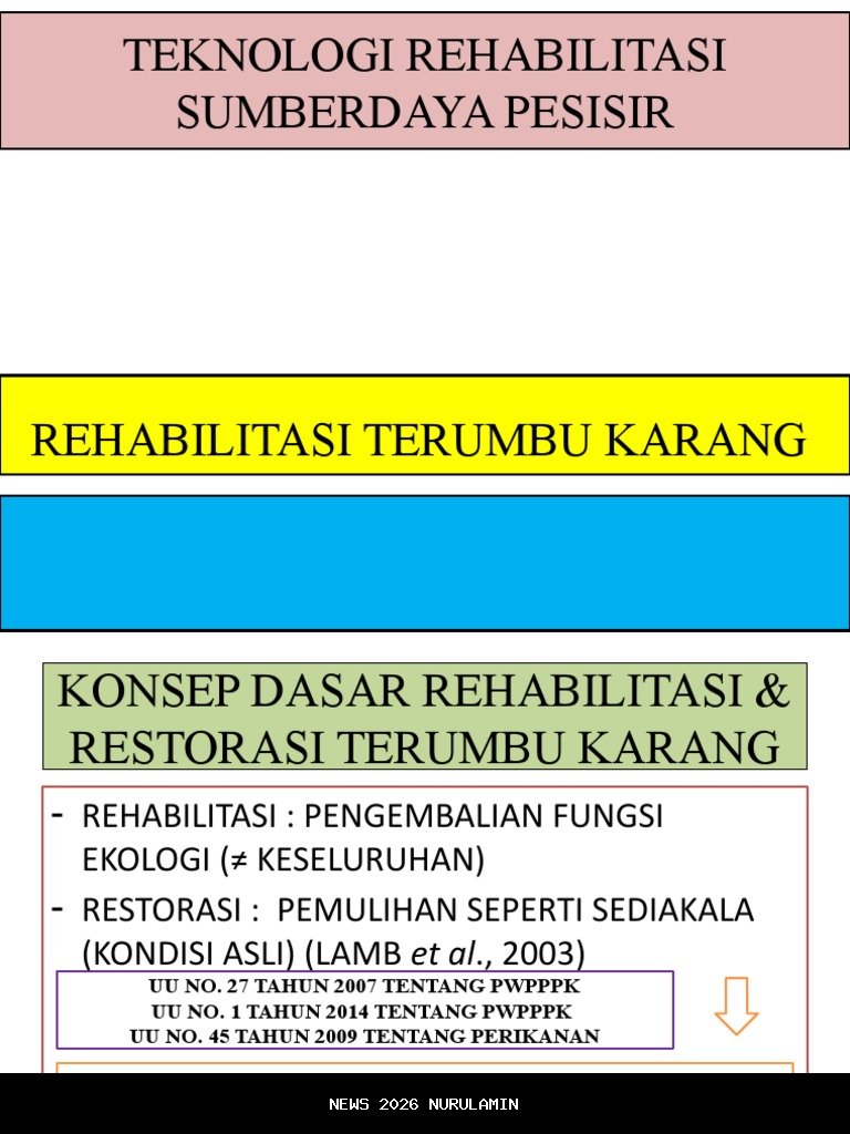Bersama Warga dan Relawan, PT IMIP Rehabilitasi Terumbu Karang Sombori Morowali