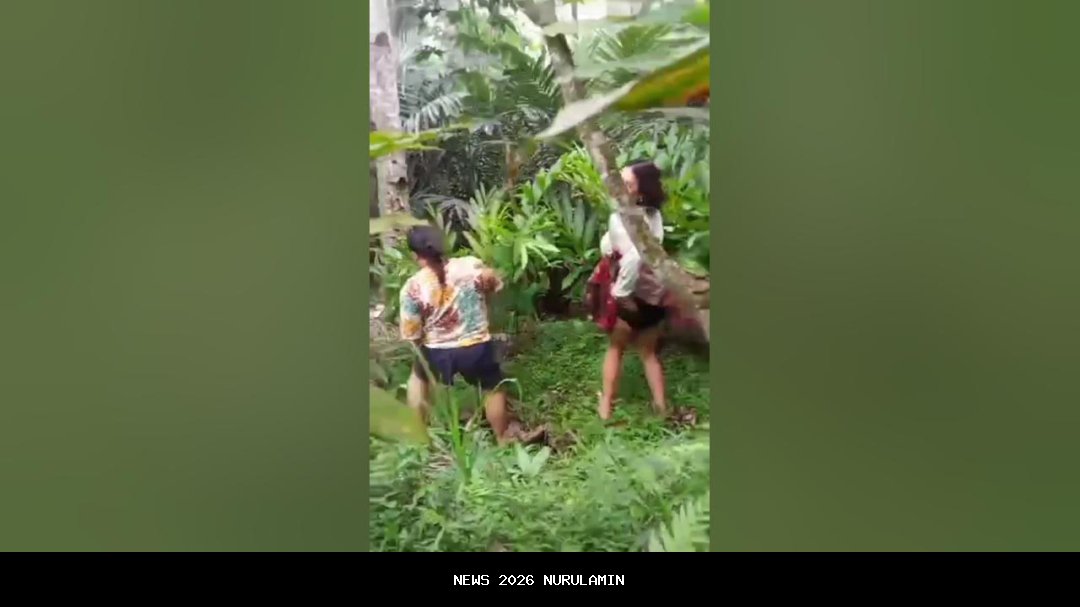 Jerit Karsilan di Semak-Semak Membuat Warga Terkejut, Windi Siapkan Cutter Sebelum Bertemu