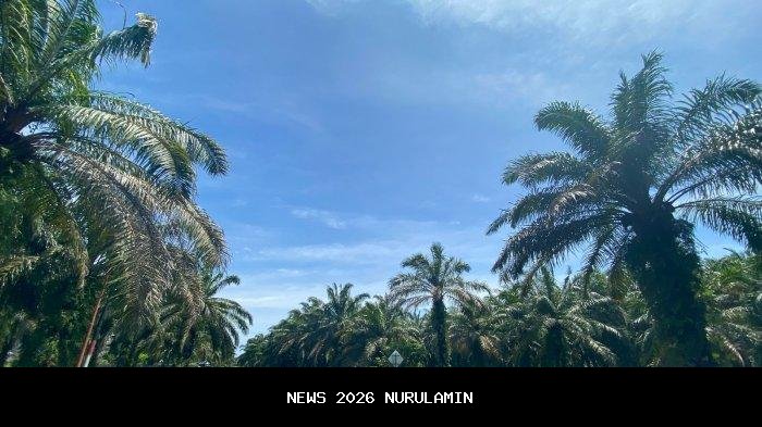 Prakiraan Cuaca Bengkulu, Senin 10 November 2025: Hujan Ringan di Seluruh Kecamatan