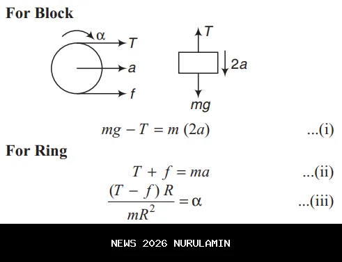 Momen Haru Penyelamatan Anak Kucing di Reruntuhan Kebakaran Baru Ilir