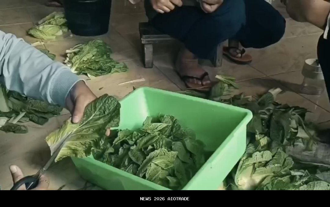 Kisah bisnis: Sawi terbuang jadi cemilan untungkan