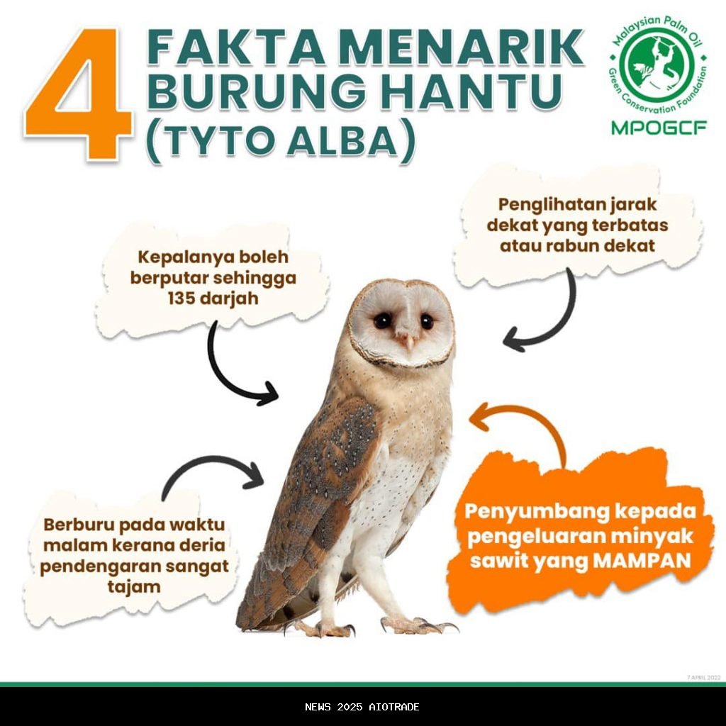 Apa yang baik bagi Burung Hantu…