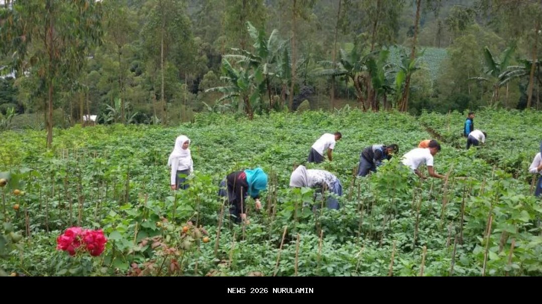 Dorong Hilirisasi, Disperta Jombang Gelar Pertemuan Bisnis Pertanian dan Perkebunan
