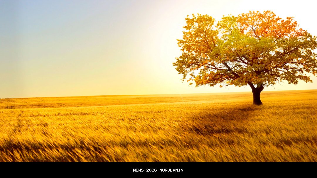 Renungan Harian Kristen: Lukas 5:33-3, Disiplin Rohani yang Benar