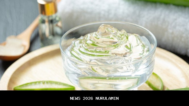 Lidah Buaya: Gel Ajaib untuk Kulit dan Pencernaan Sehat