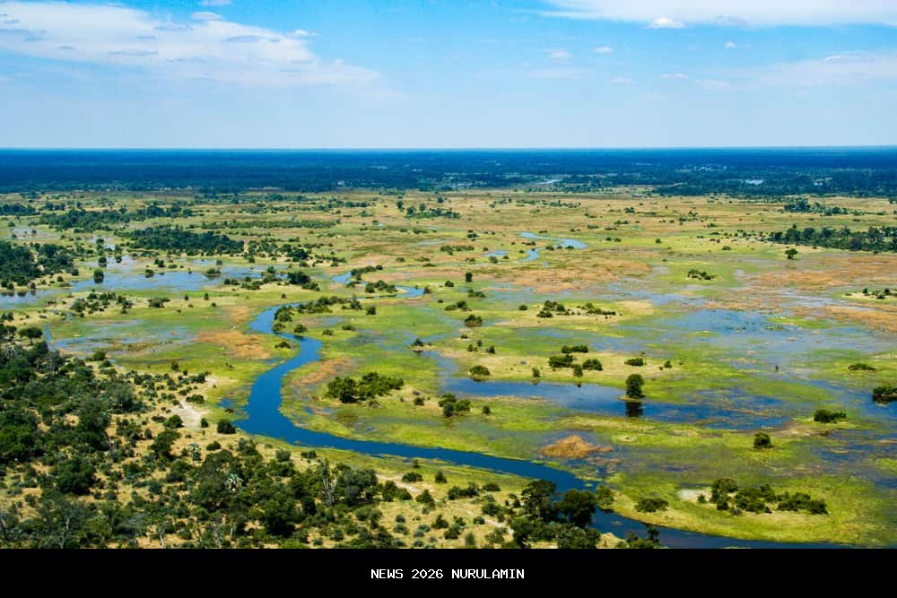 Botswana: Dari Gurun ke Negeri Berlian, Kisah Ekonomi Afrika yang Menginspirasi