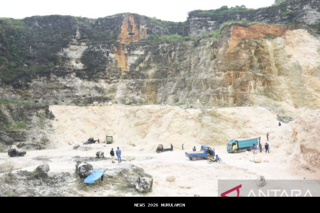 Yammi Tuduh Polda Main Mata dengan Investor Tambang Ilegal di Palu