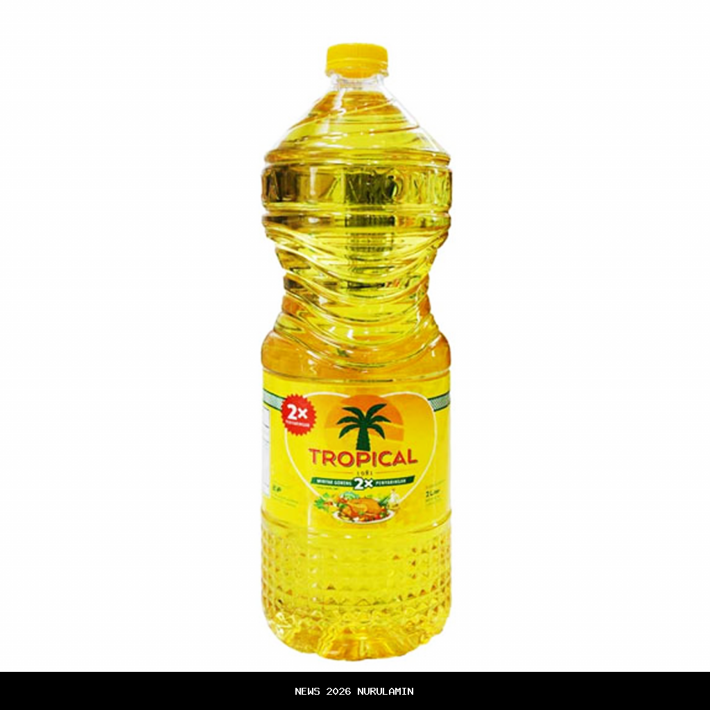 Minyak Goreng Tidak Layak, BPOM: Waspadai Bahaya bagi Tubuh