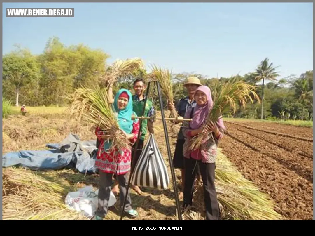 Program MBG Dorong Peningkatan Pendapatan Petani, Ketum Tani: Ekonomi Desa Berjalan Kencang