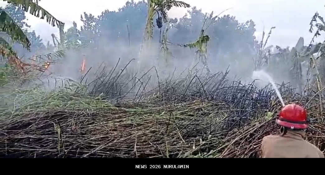 Kebakaran Heuleut Majalengka Diduga Akibat Pembakaran Lahan Warga