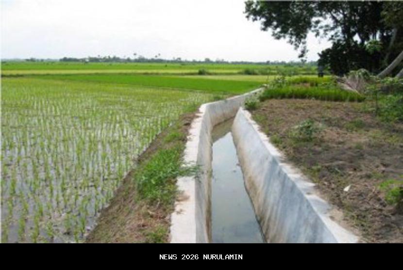 Pecahnya Tanggul Irigasi Ancam Kekeringan 1.500 Hektare Sawah