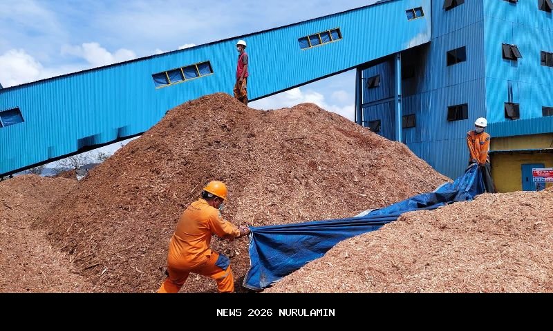 PLN EPI Resmikan Pabrik Serpihan Kayu di Tasikmalaya untuk Bahan Bakar Biomassa PLTU Co-Firing