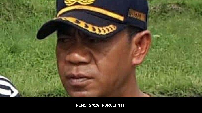 InsyaAllah, Pabrik Getah Pinus Siap Berdiri di Aceh Timur