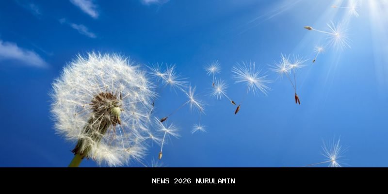 Air Masuk ke Rumah, Siti Warga Siak Terpaksa Mengungsi ke Aula Kampung