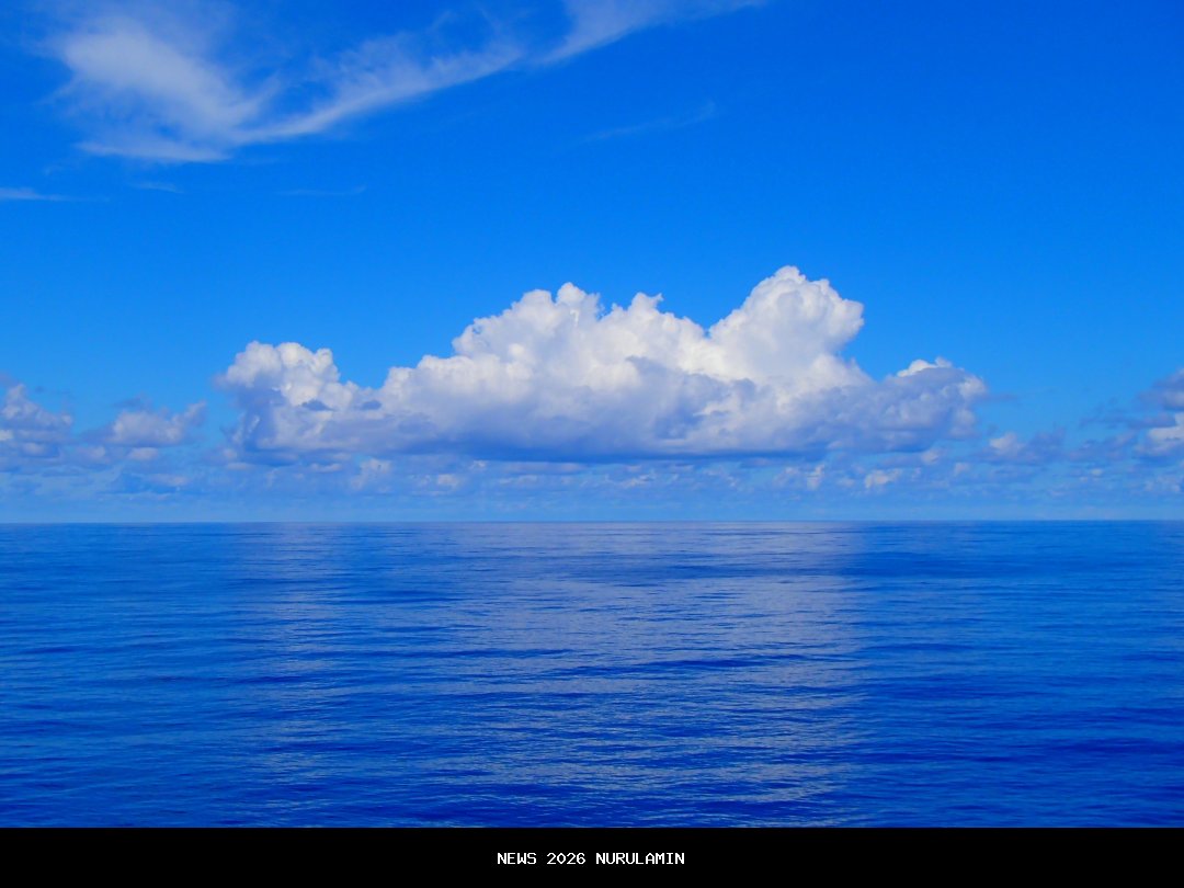 Lautan Manusia Membanjiri Bontang City Carnival 2025, Walikota: Antusiasme Luar Biasa