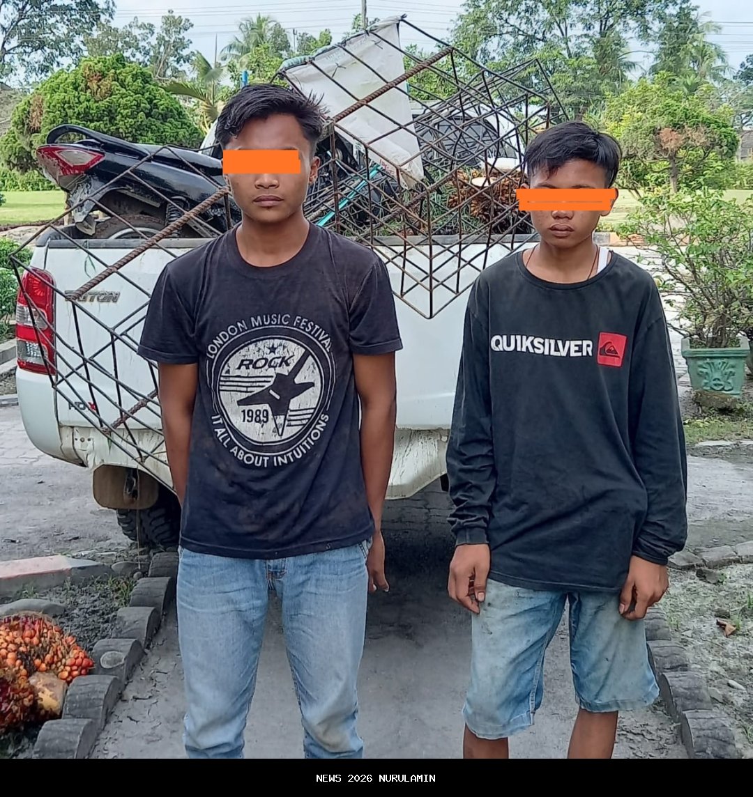 Anak Yatim Menangis, HP Dicuri Saat Bekerja di Kebun Sawit