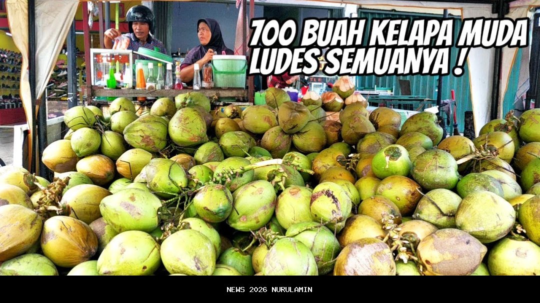 Kelapa Muda Masohi Ludes 100 Buah Sehari dengan Harga Rp5.000