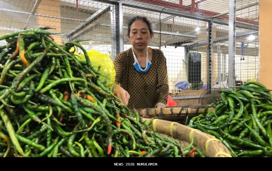 Kabar Dairi: Harga Bawang Putih dan Cabai Rawit Turun di Pasar Sidikalang