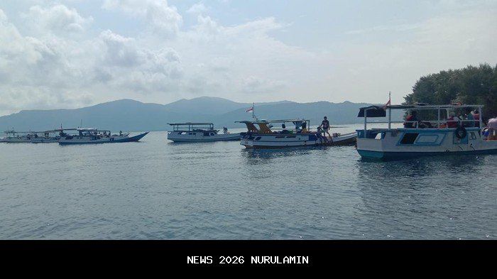 Curhat Wisatawan Australia Bayar Rp69 Juta untuk Vaksin Rabies, Petugas Monkey Forest Ubud Anggap Remeh
