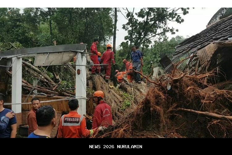 Tragedi Pondok Indah: Pohon Tumbang Hancurkan Mobil Lexus, Pengemudi Tewas