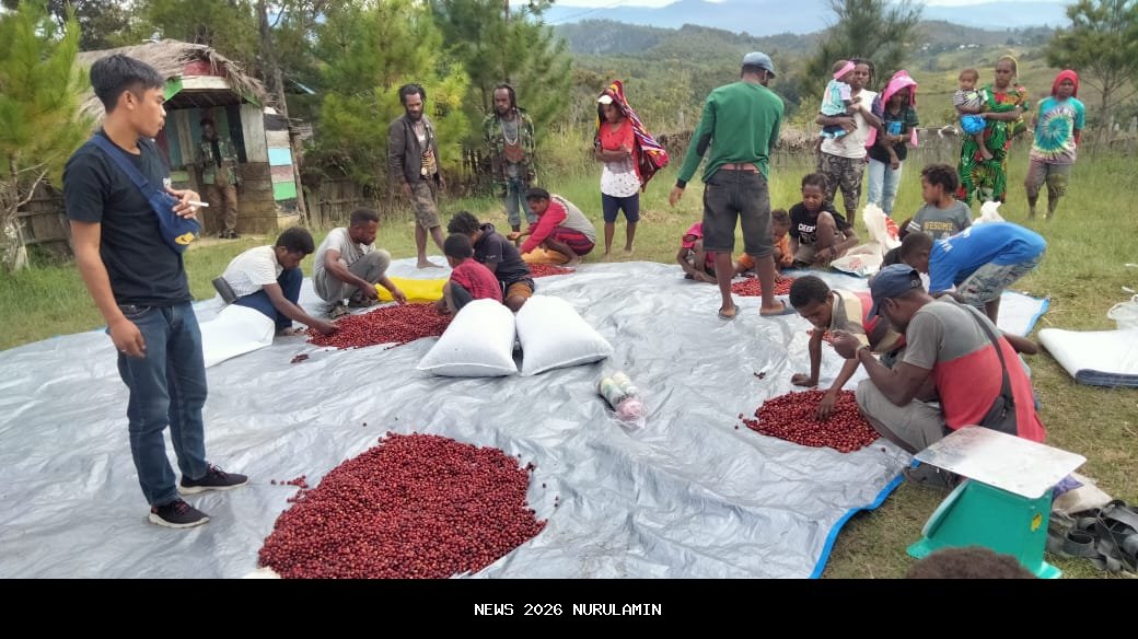 Pemprov Papua Tengah Berikan Bantuan Kopi untuk Masyarakat Deiyai