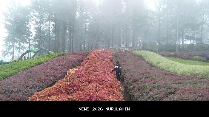 Prakiraan Cuaca BMKG Purbalingga Hari Ini, Jumat 17 Oktober 2025, Wilayah Hujan Ringan