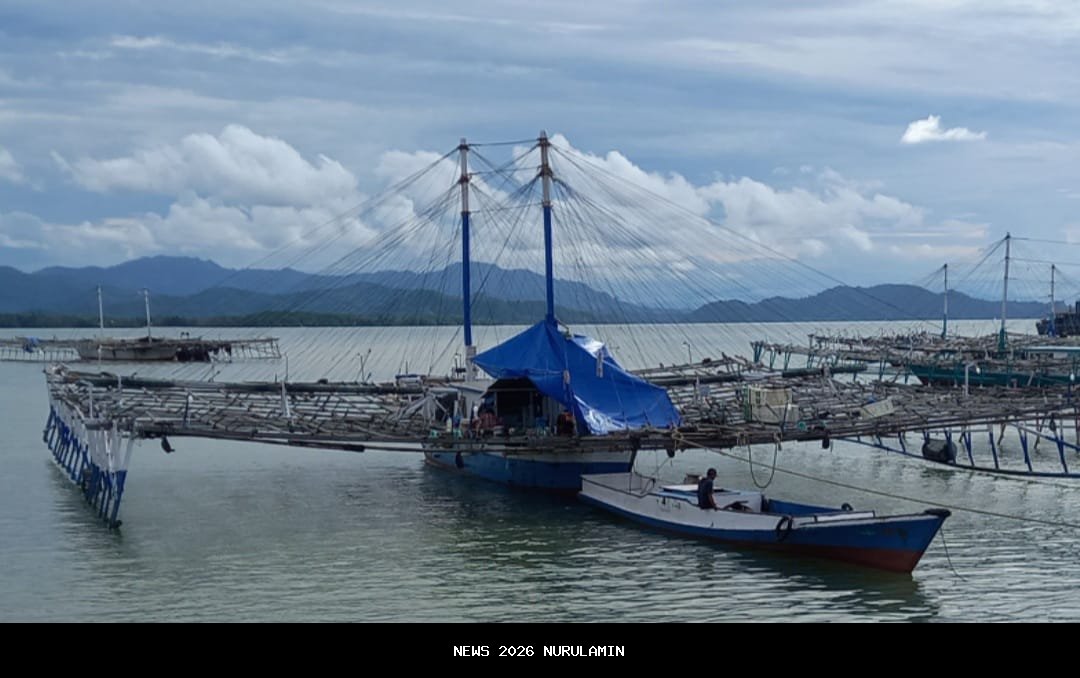 Tolitoli Siapkan Pelabuhan Ikan Baru, Target Rp1,5 Miliar dari Laut
