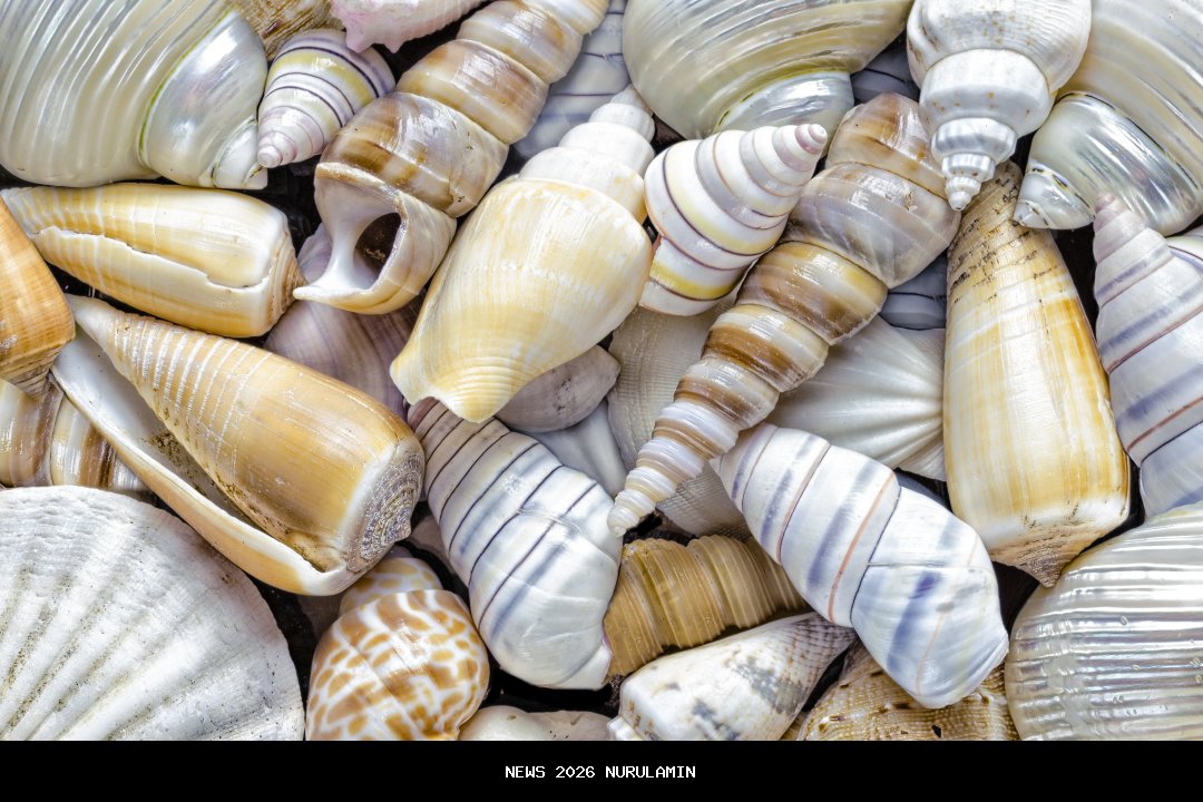 Shell Helix Ultra, Pelumas Premium dengan Teknologi Terkini untuk Mesin Anda