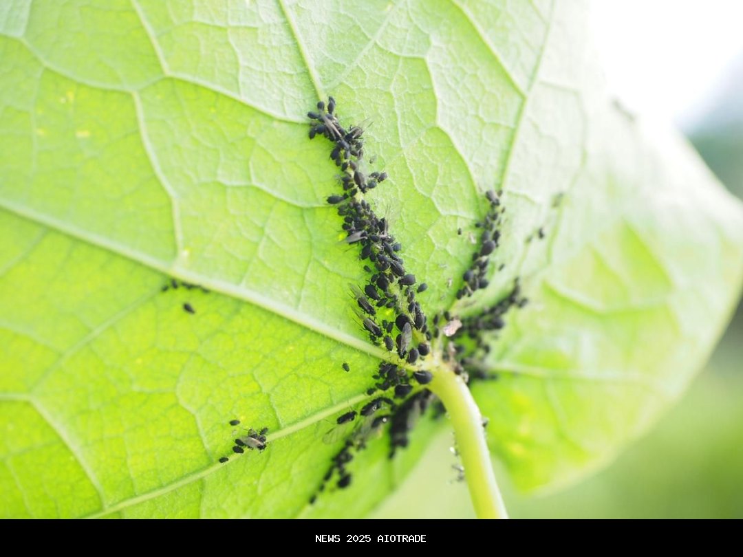 Tak Butuh Jantan, Cara Unik Serangga Menghasilkan Anak