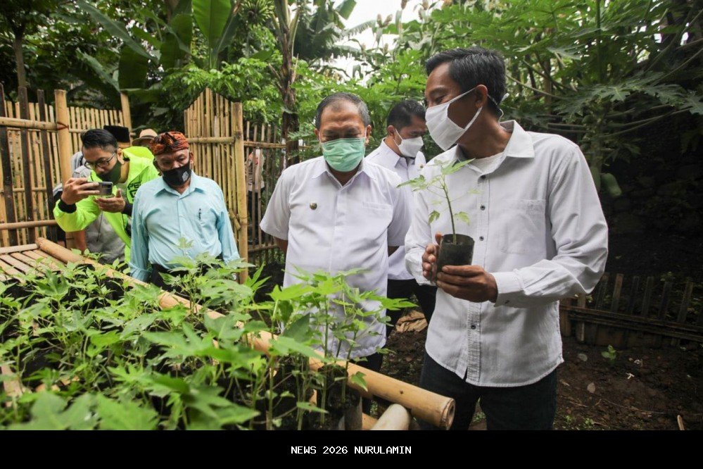 Manfaatkan Lahan Sempit, RW 01 Cipaganti Kembangkan Buruan Sae untuk PMT Balita