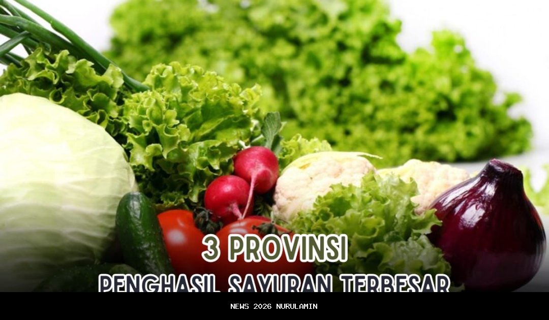 Pacet Jadi Penghasil Sayuran Terbesar di Mojokerto dan Sekitaran