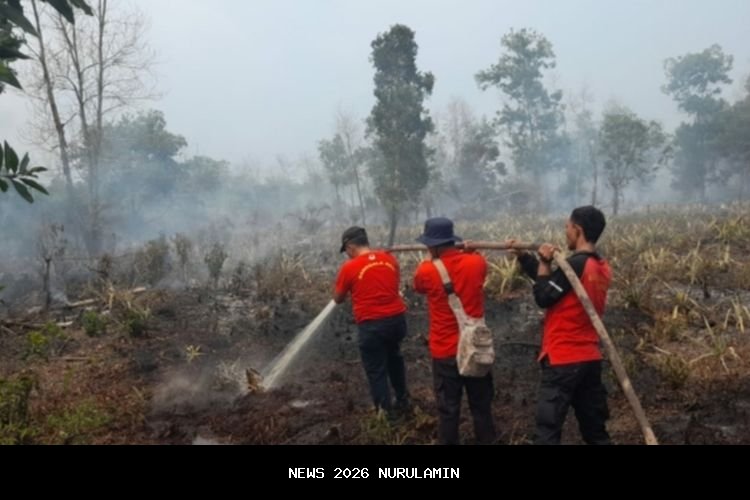 Kebakaran Hutan di Ijen Bondowoso, Petugas Kesulitan Padamkan Api
