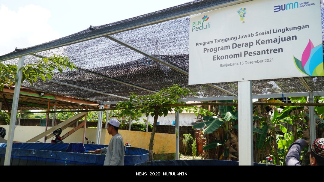 PLN Dorong Ketahanan Pangan dan Ekonomi Lokal dengan Program Budidaya Ikan Berlistrik di Kubu Raya