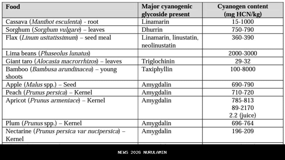 Heboh MBG Terkontaminasi Sianida, Dinas Pangan Akui Kebocoran Penyimpanan, Menu Sudah Ditarik