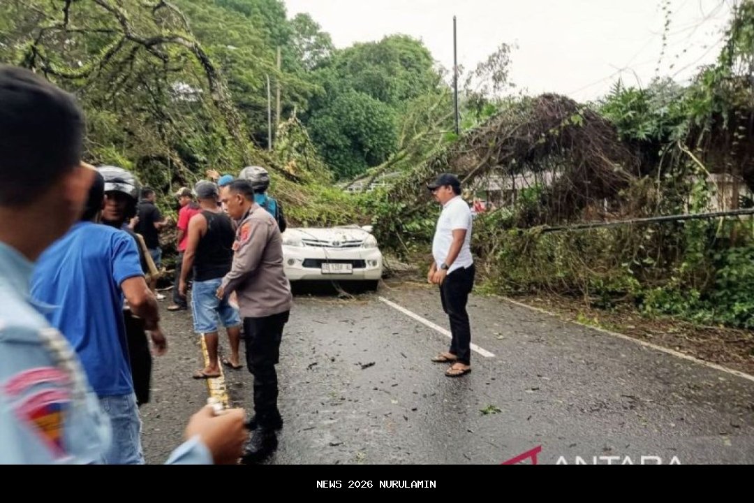 Pengemudi Lexus Tewas Tertimpa Pohon Tumbang