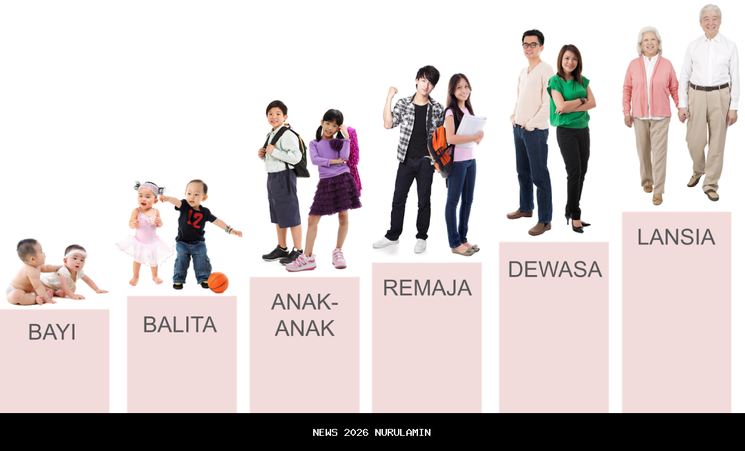 Pertumbuhan 3 Persen Arus Peti Kemas PT PMT Hingga November 2025