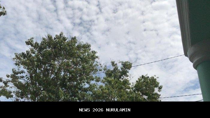 Prakiraan Cuaca BMKG Gorontalo Hari Ini: Boalemo hingga Pohuwato Diguyur Hujan Ringan