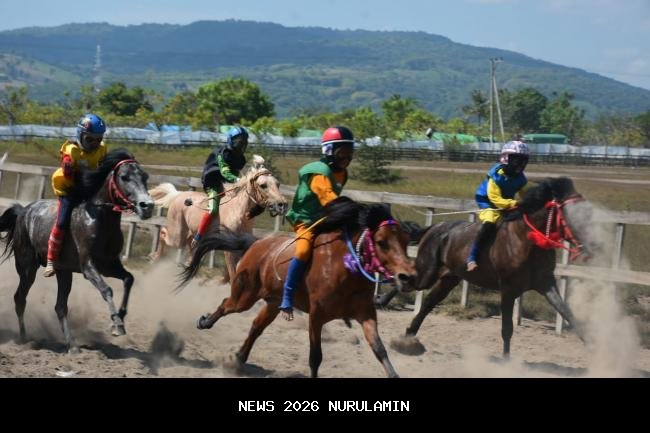 Menjelang Gubernur Cup III, Kuda dan Joki Panaskan Pacuan Bancalaweh