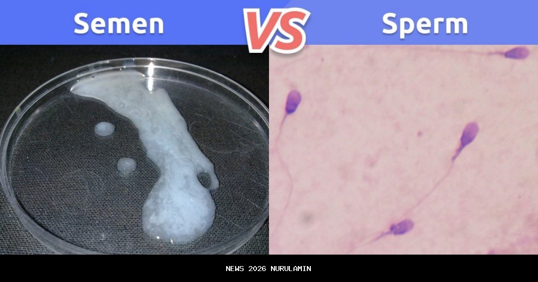 Semen Padang Tambah Pemain di Paruh Musim, Perkuat Serangan dan Pertahanan