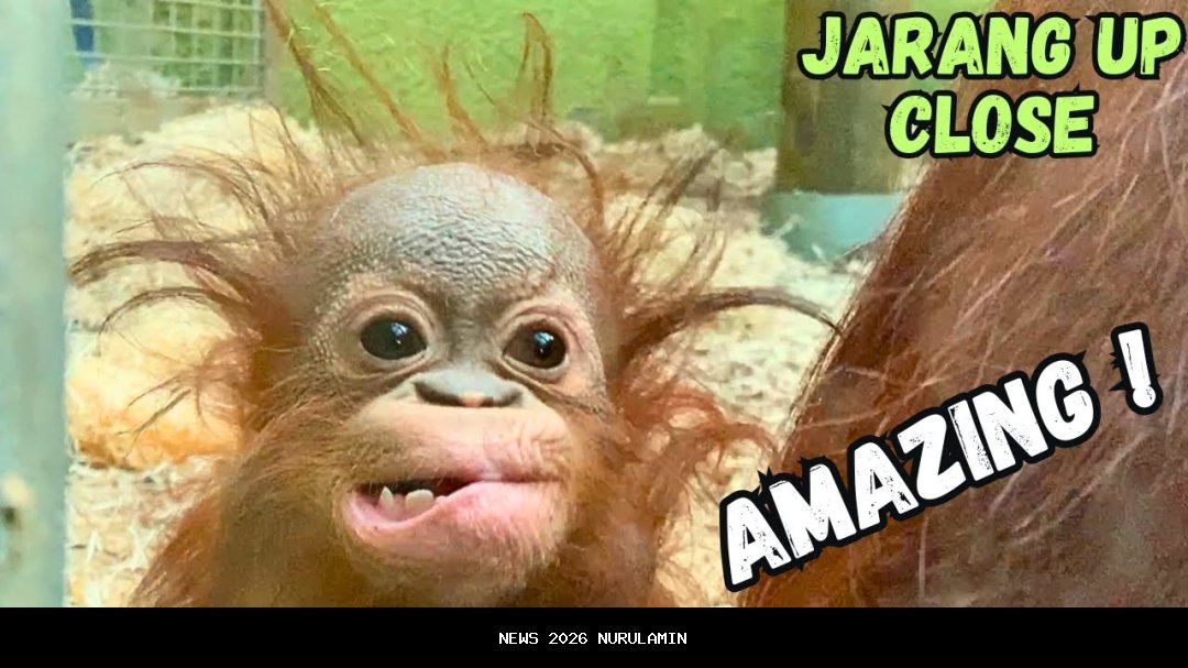 Jarang Diketahui, Camilan Bugis Ini Paling Disukai Saat Hujan