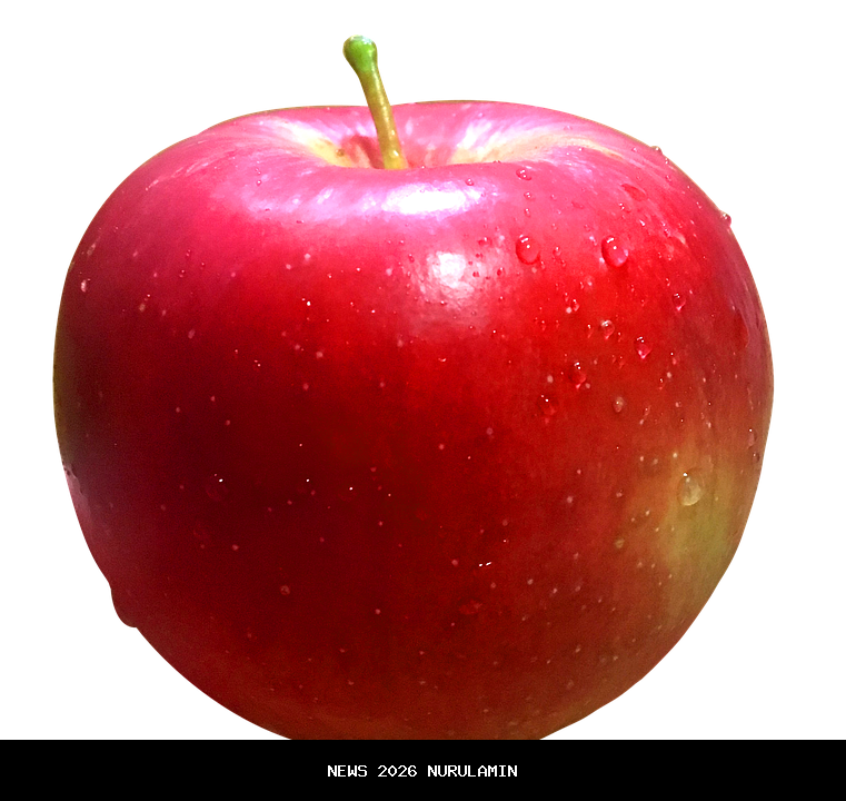 Apel Nataru: Kolaborasi Kunci Kelancaran Angkutan