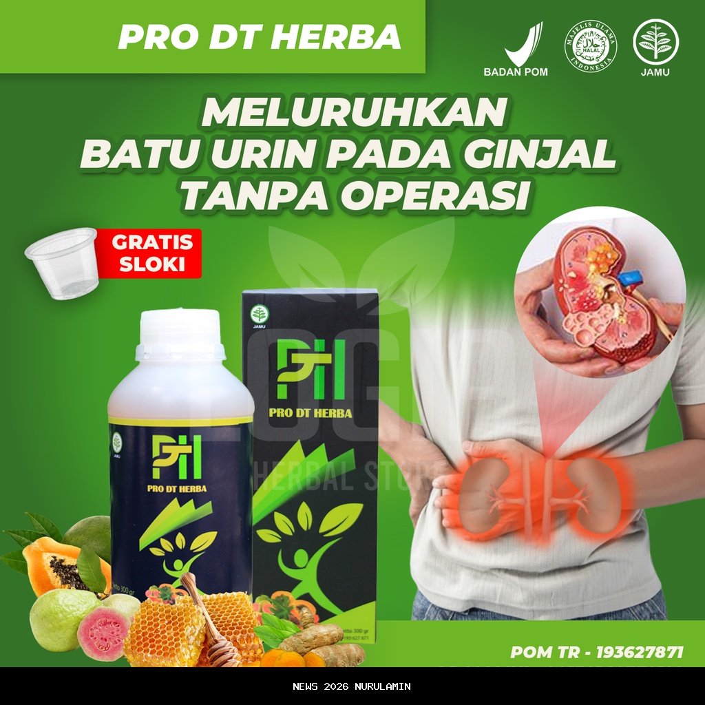 Penghilang racun tubuh, obat herbal tidak dapat membersihkan ginjal, kata dokter